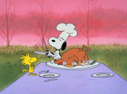 19 gifs that prove thanksgiving food is the actual best medium