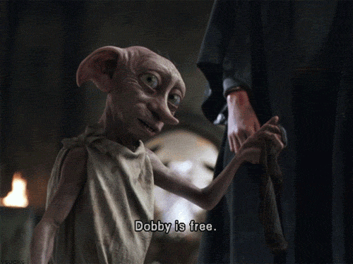 harry potter dobby gifs find share on giphy medium