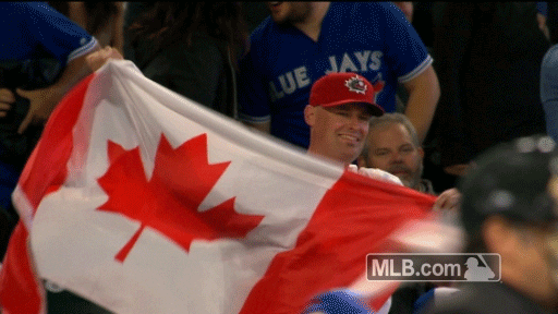 canadian flag gifs find share on giphy medium
