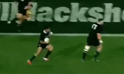 sit down rugby gif find share on giphy medium
