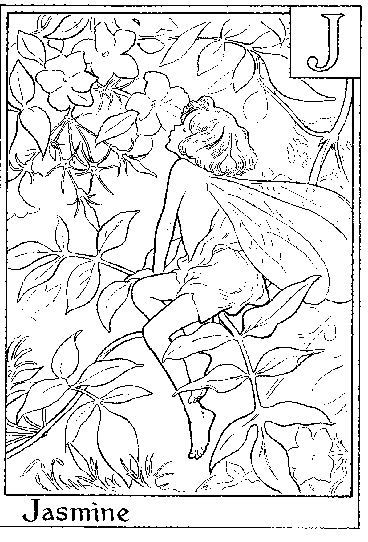 detailed coloring pages for adults coloring activity kids pages medium