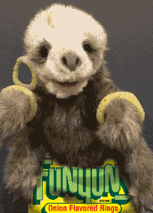 sloth ring tumblr medium