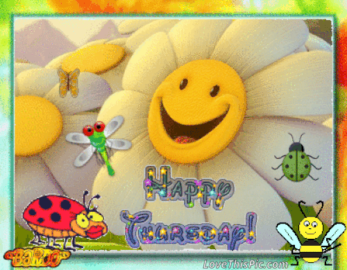 cute sunny happy thursday pictures photos and images for medium