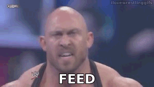 feed me more gif thanksgiving wwe discover share gifs medium