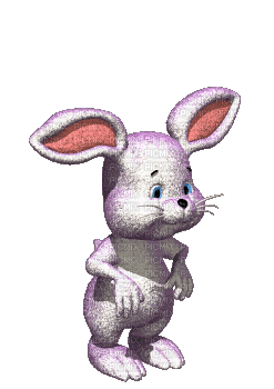 animals lapin anime animated bunny boing boing hopping picmix medium