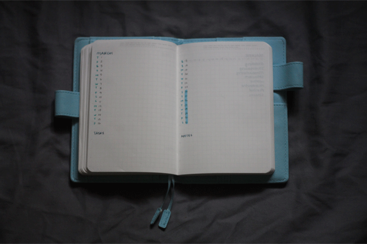 five months with the stalogy 365 a6 notebook ink between the teeth medium