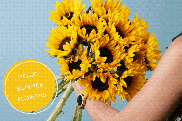 arena flowers send joy and stay connected milled summer backgrounds medium