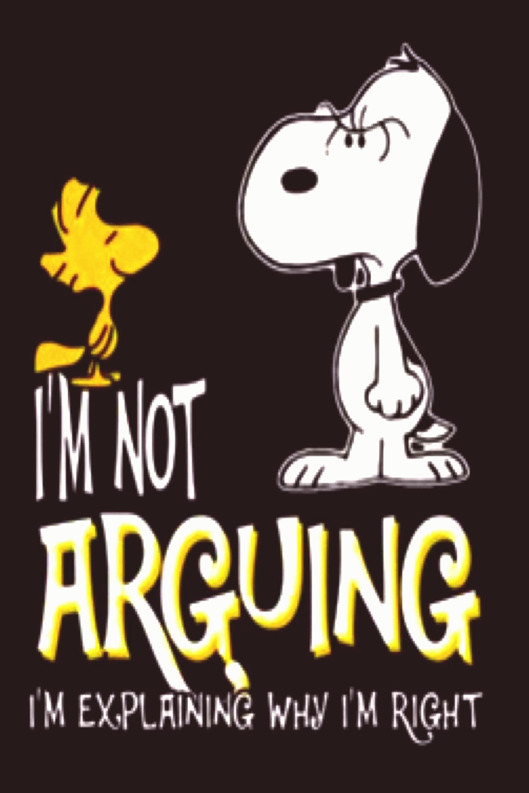 snoopy and woodstock snoopy funny snoopy quotes snoopy medium