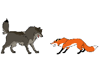 scratch studio fox and wolf animation studio medium