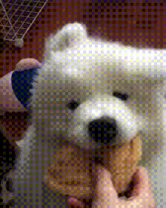 fluffy dog gifs get the best gif on giphy medium