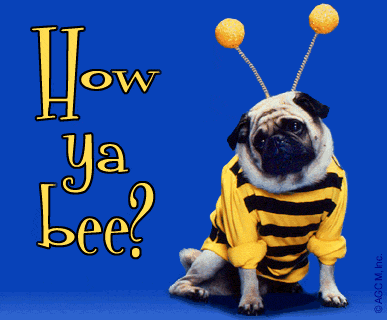 how ya bee cute animated hugs hello dog friend pets gif bee pug medium