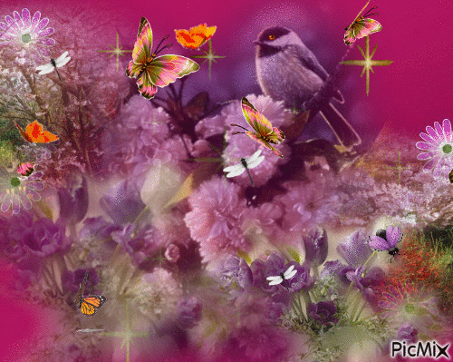 a bird on a branch lots of different shades of purple flowers gold medium