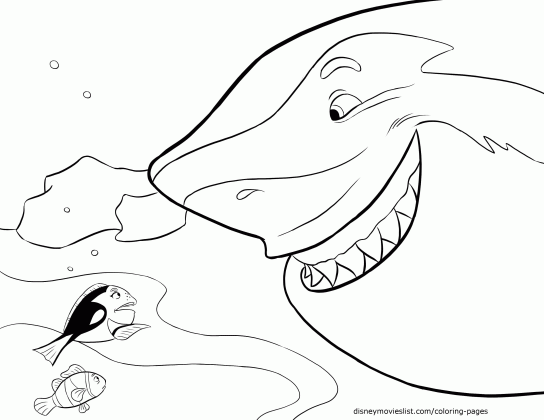 bruce finding nemo coloring page coloring home medium