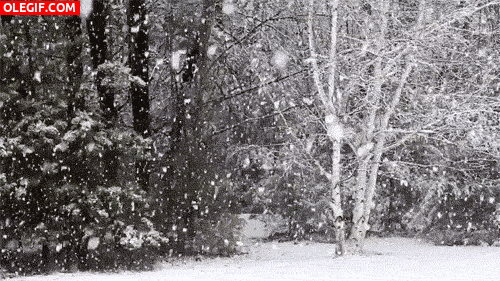 5 curiosidades sobre la nieve naturaleza pinterest medium
