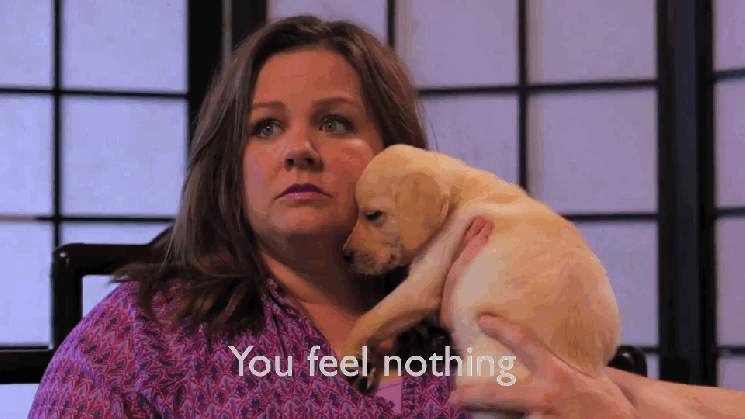 10 puppy gifs about advertising for national puppy day medium