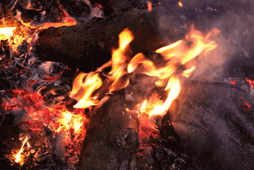 fire flame gif find share on giphy medium