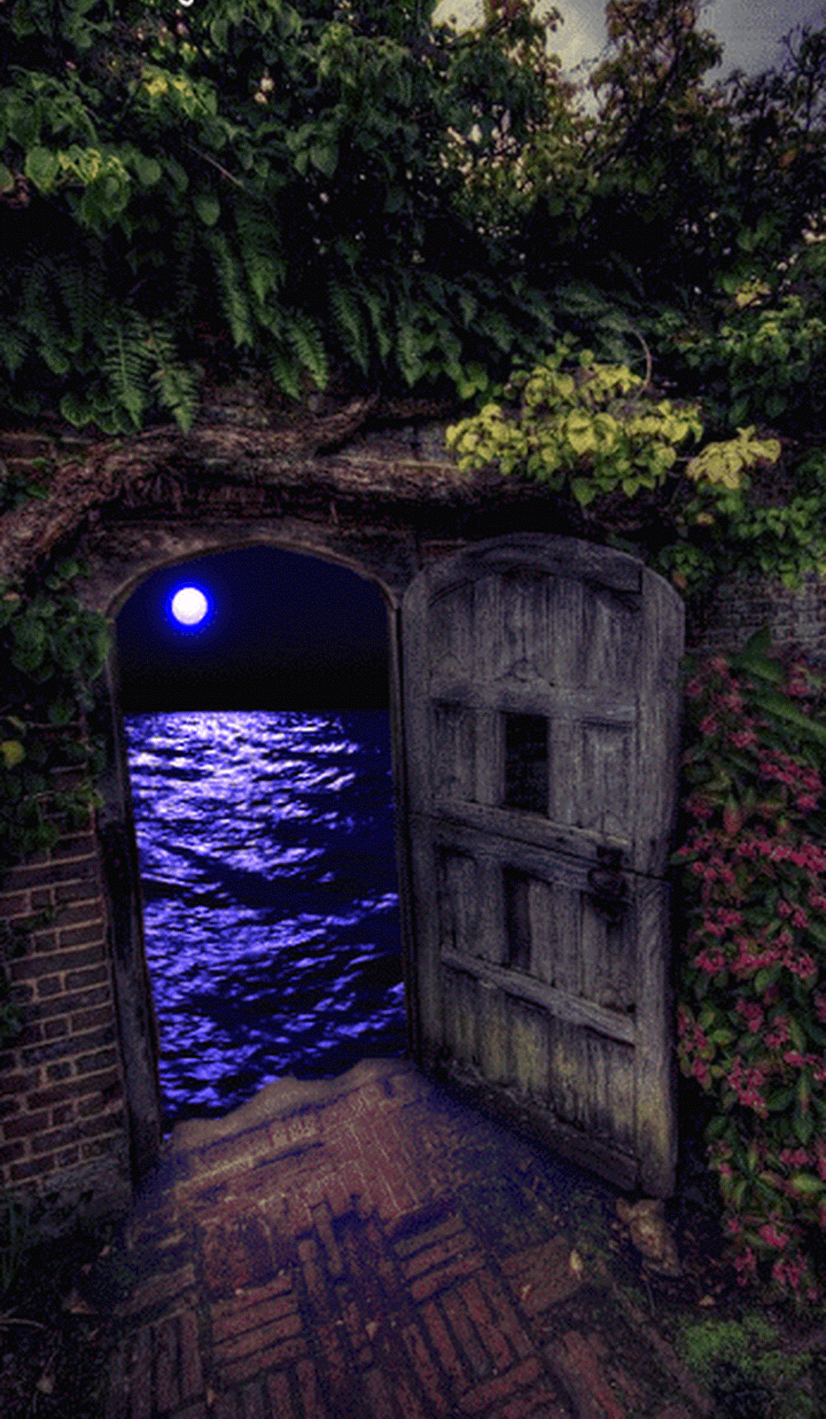 moonlight reflecting over the ocean through ancient doorway medium
