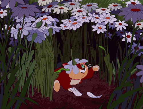 alice in wonderland daisies tumblr medium