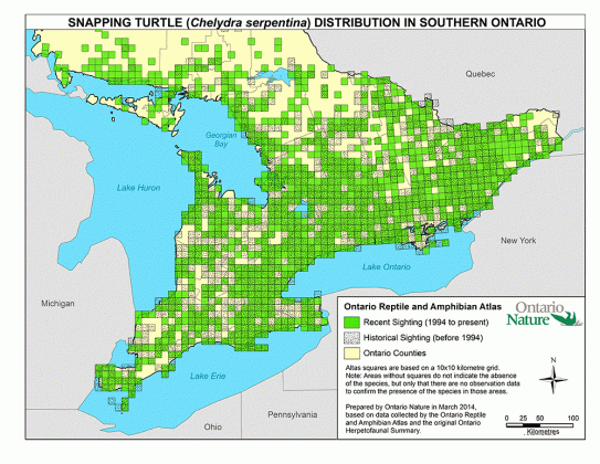 snapping turtle distribution map pictures to pin on pinterest medium