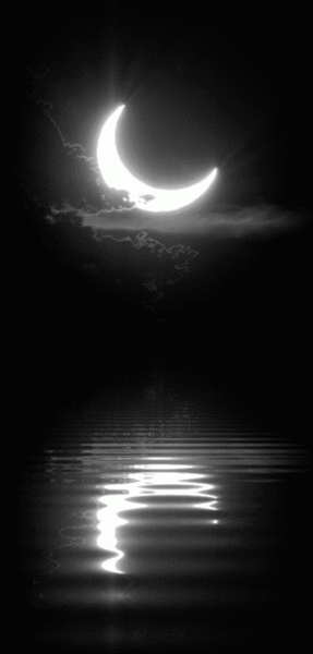 gif black and white sky moon night edit water dark peaceful nature medium
