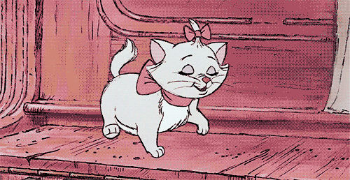 cat piano pink gifs find share on giphy medium