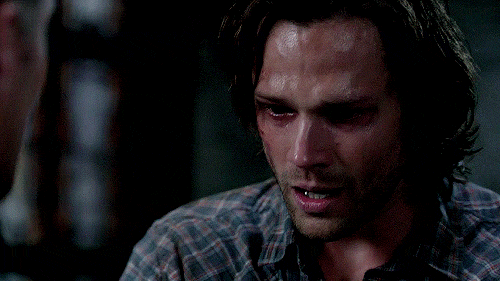 gif but sam s face how bad did you want to hug him medium