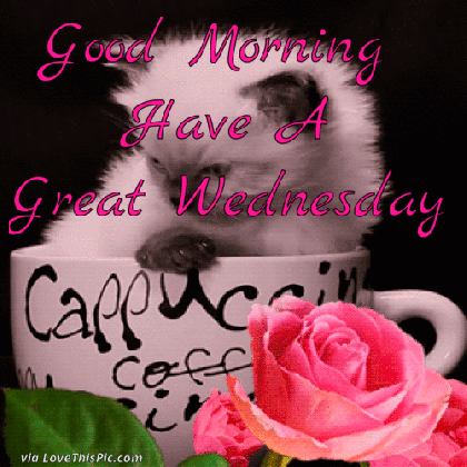 good morning have a great wednesday gif pictures photos medium