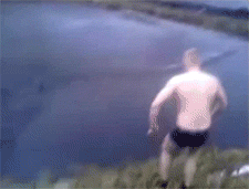 diving gifs think mr pasty here is new to the polar bears club medium