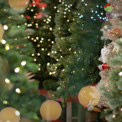 christmas tree lot gifs get the best gif on giphy medium