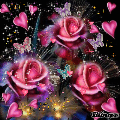 pink roses animaciones pinterest pink roses rose and gifs medium