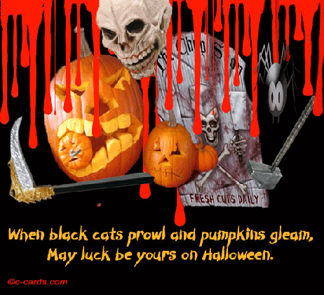 cat happy halloween gif message the best collection of quotes medium