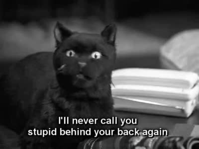 47 reasons salem from sabrina the teenage witch is your spirit medium