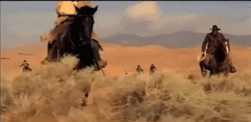 cats horses gif find share on giphy medium