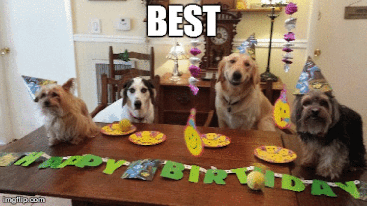 the 15 best happy birthday memes of 2021 funny dancing animals medium