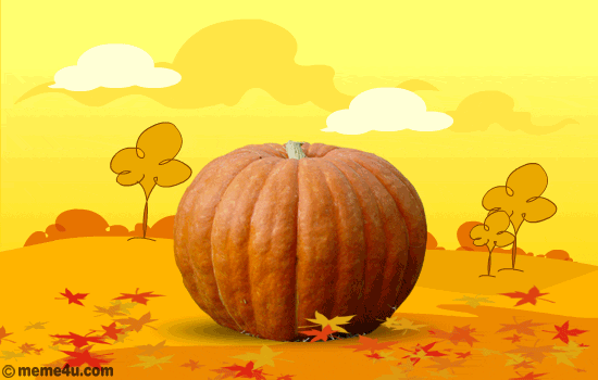 happy thanksgiving 2015 pictures wallpapers gifs medium