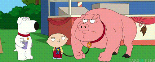 stewie griffin fox gif by family guy find share on giphy medium