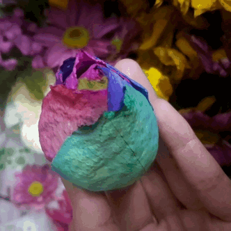 multi color roses tumblr medium