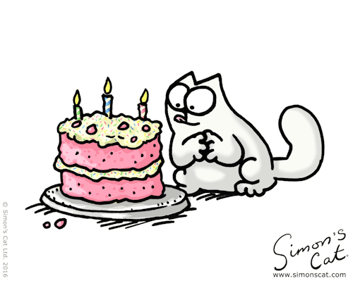 a special day today happy birthday simon s cat birthday medium