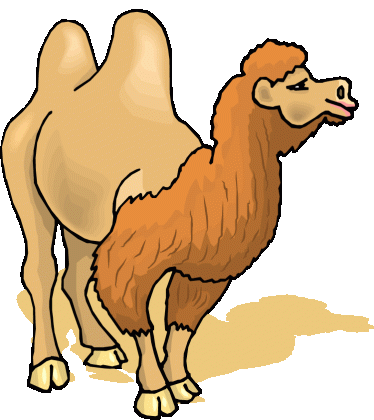 free camel clipart medium