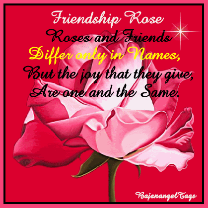 friendship rose pictures photos and images for facebook tumblr medium