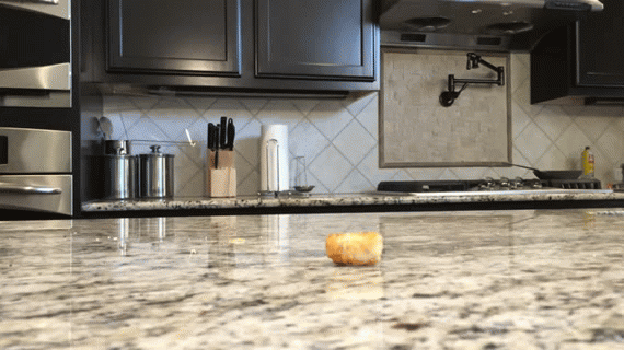dog desperately wants tater tot thwarted by slippery countertop huffpost medium