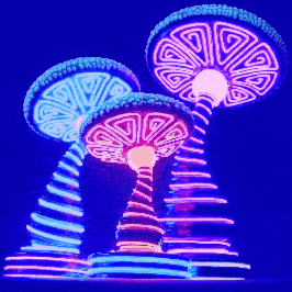 shrooms mdma serotonin receptors the psychedelic experience medium