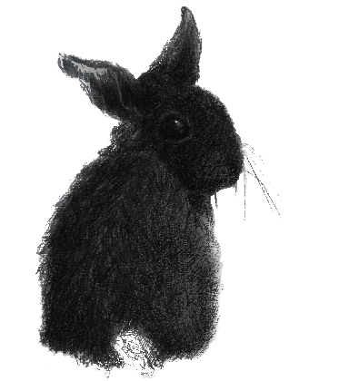 from silver arrows to silver bullets a brief history of wererabbits medium