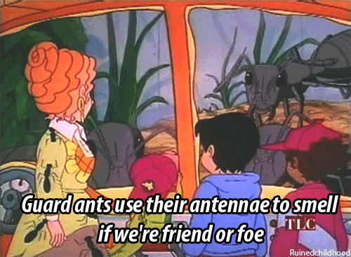 the magic school bus gif find share on giphy medium