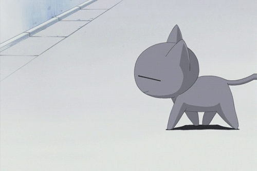 imagen de cat anime and gif gif pinterest animation medium