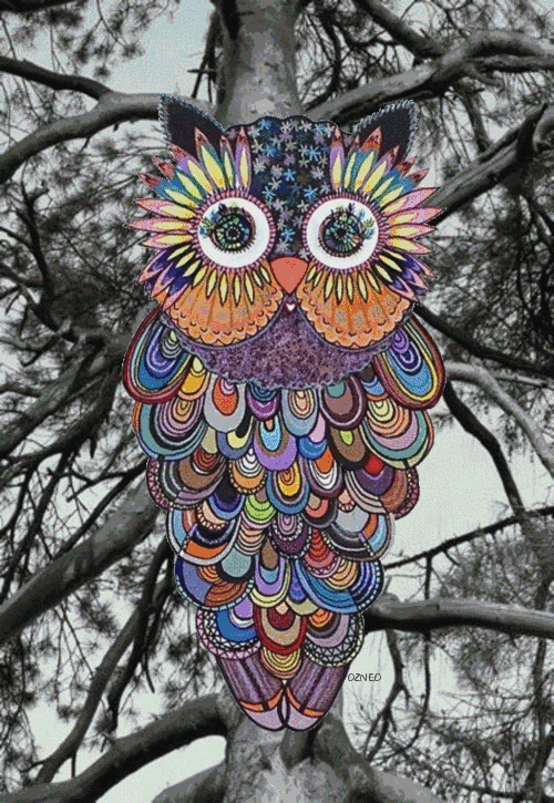 psychedelic owl gif trippy psychedelic owl owls pinterest medium