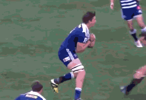 south africa rugby gif find share on giphy medium