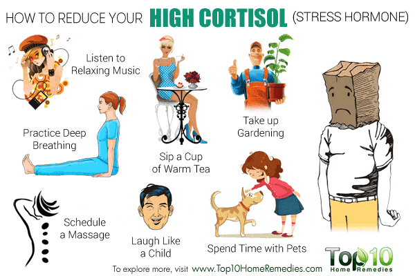 hormone cortisol liss cardio workout medium