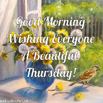 good morning wishing everyone a beautiful thursday medium
