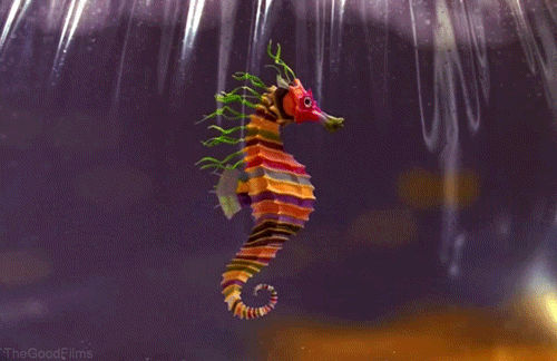 wes anderson seahorse gif by the good films find share medium